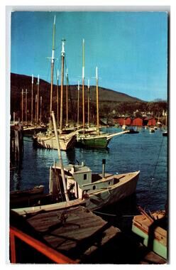 Camden Maine Postcard Windjammer Cruisers Harbor View Mountains Sea